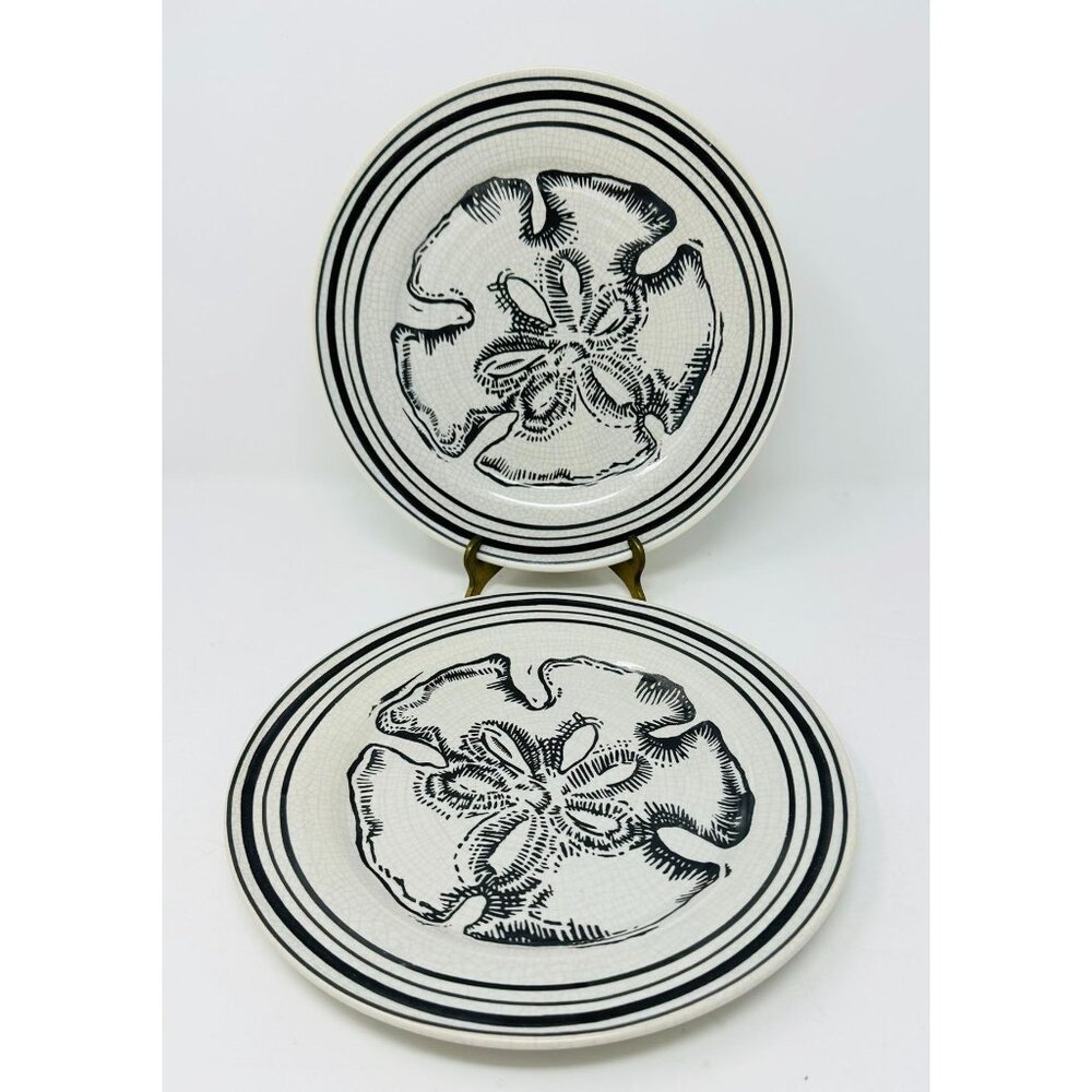 POTTERY BARN SAND DOLLAR Dinner Luncheon Plates Set of 2 ~Beach Coastal Nautical